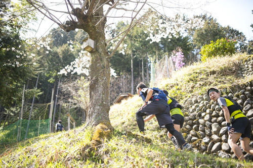 春の花咲き乱れる里山を駆ける
