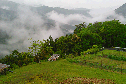 霧に煙る十津川の山並み