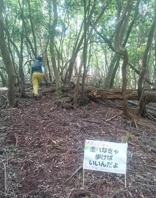 遊び心あるメッセージにほっこり