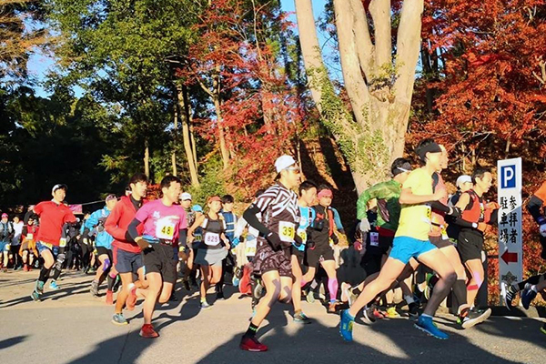 紅葉があざやかな武田神社をまず一周