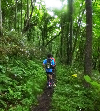 7月12日。本州はまだ梅雨ですが、北海道のこの時期は新緑が美しい！