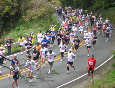 頂上へ向かうパークウェイでは、同時開催のウォーキング参加者から声援が送られる