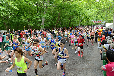 まぶしい新緑の中、スタート！