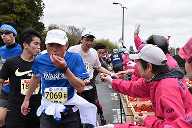 エイドのトマトやいちごがおいしそう！ 