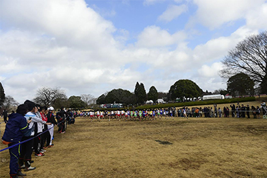 広々とした昭和の森公園は、ゆっくり散策したり、アスレチック遊具で遊んだり、応援者も楽しめる！