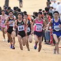 2017 X-RUN CHIBA クロスカントリー大会（エントリー締切：1月16日）