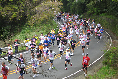 コース前半の日本平パークウェイ。まだまだ上りが続く