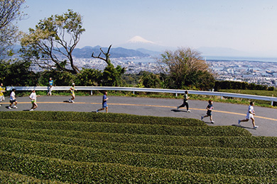 茶畑の向こうには富士山も。この景色も魅力のひとつ