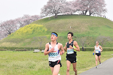 コースはフラットで桜並木や菜の花など、春の花々を満喫しながらタイムも狙える