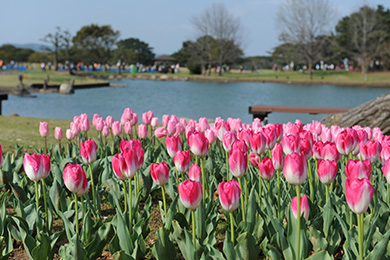 「海の中道海浜公園」はレース後も家族で楽しめる