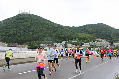 観光地はもちろん、函館山などの自然も感じるコース