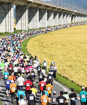 高低差15mのフラットなコース