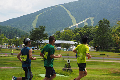 コースから見上げる景色も見事