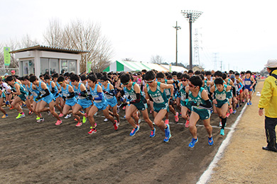 学生ランナーも多く参加し、レベルの高い走りが楽しめる