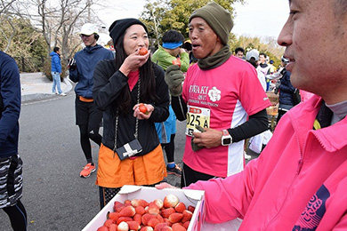 特産物エイドでは地元のイチゴやトマトを用意