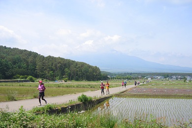 村の田園風景