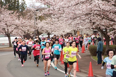 桜咲く会場で、春の息吹を感じながら気持ちよく完走を目指しましょう！