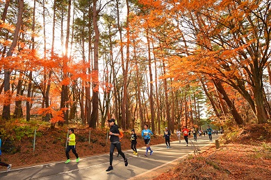 富士山と紅葉を一度に味わえます