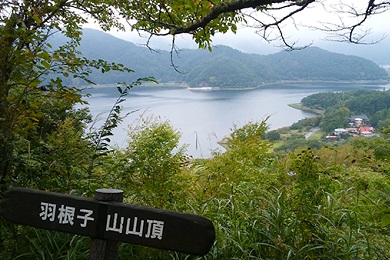 富士山や河口湖を望むトレイル