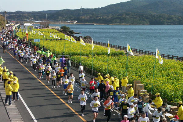 一面に咲く菜の花は大会のハイライトだ