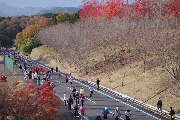 【大会ニュース】福知山マラソンがレイトエントリーを実施！　台風や災害で出場を逃したランナー救済のため