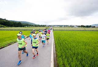 フルマラソンの目標タイムを目安とするペースメーカーが走ります