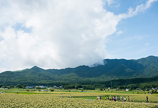 山に囲まれた忍野村内の周回コース。自然の中を気持ちよく走れる