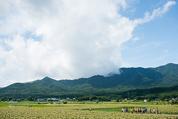 【週刊ランナーズ】「程よい緊張感」がポイント マラソン１カ月前に「30km走」！