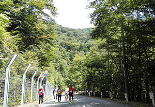 護摩壇山の坂では歩いてしまう人の姿も多く……