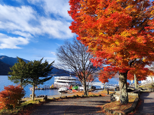 中禅寺湖には見ごろを迎えた紅葉も