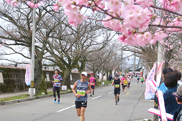 ふくい桜マラソン初開催　大会プロデューサーの大迫選手は「どんどん記録が出るコース。あらゆるランナーに走ってほしい」