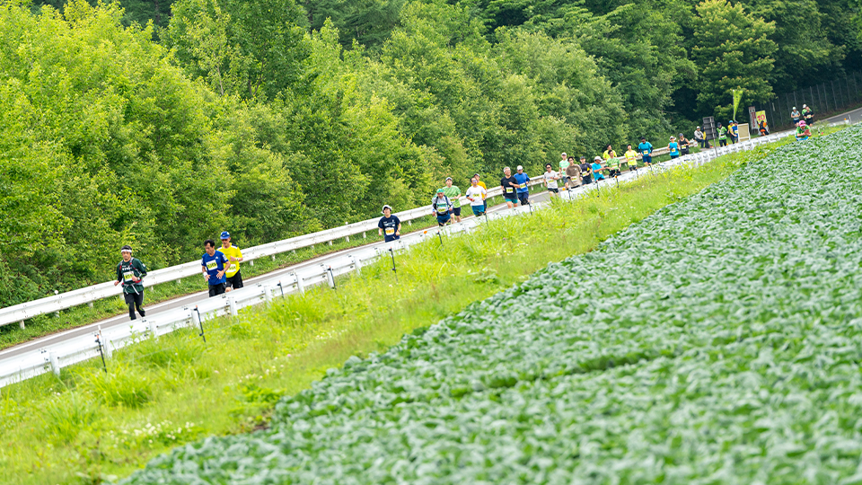 「キツさ日本一」を自称する（？）嬬恋高原キャベツマラソン（写真／辻晋太朗）