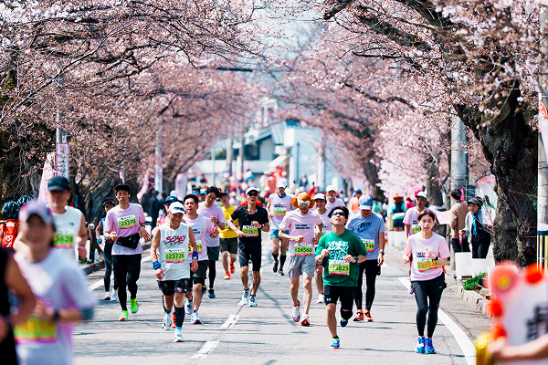 桜の開花日に1万2000人が出走! 大迫傑選手プロデュースのふくい桜マラソン