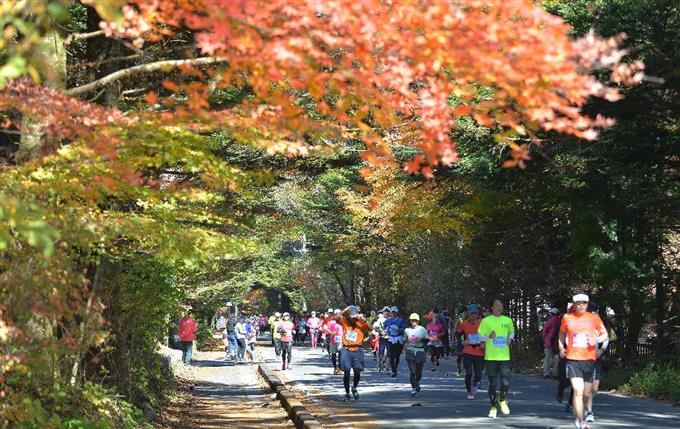 千葉真子さんからアドバイス！ 秋のフルマラソンを快走するための「トレーニング＆補給術」(PR)