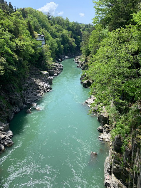 長野県南部 飯田市にある天竜峡周辺をランニング中に撮影しました。新緑の緑が川辺に映えてとてもキラキラしていました。（ナベチャンさん・長野県）